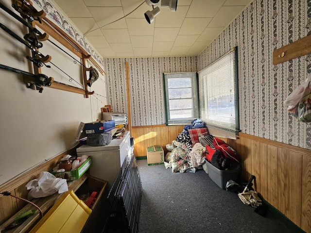 interior space with dark carpet and wooden walls