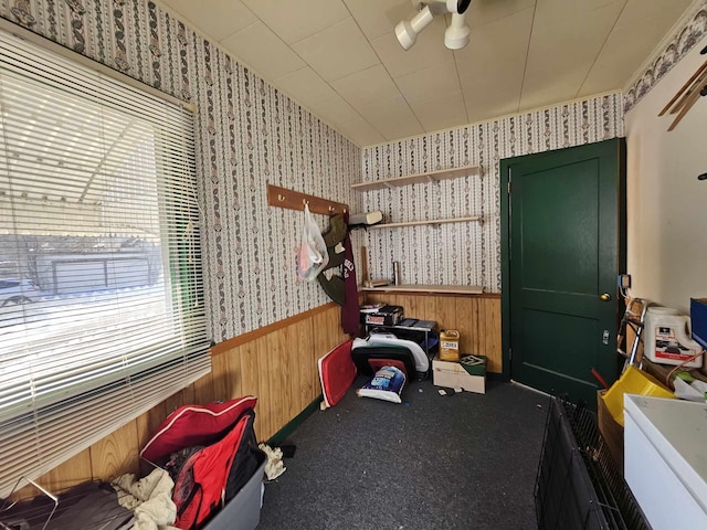 misc room featuring carpet flooring and wood walls