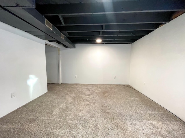 basement featuring carpet floors