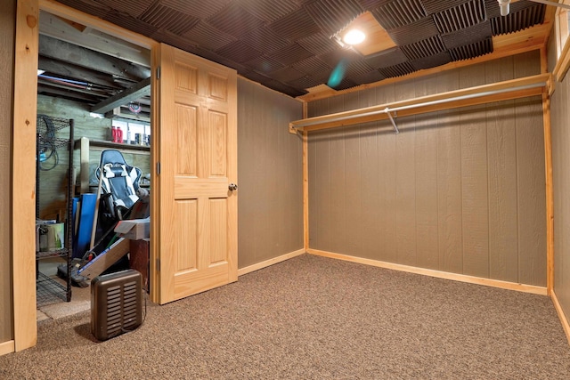 walk in closet with carpet floors