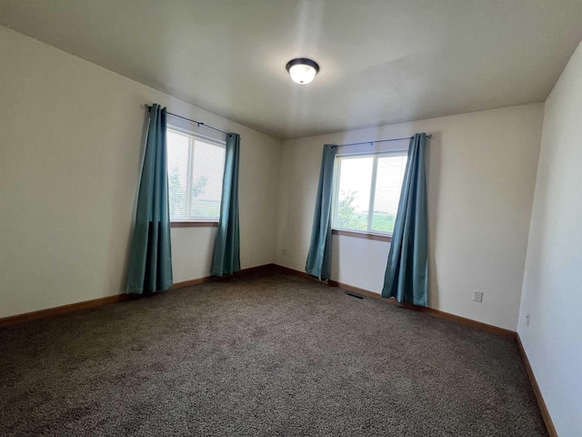 spare room featuring plenty of natural light and carpet floors