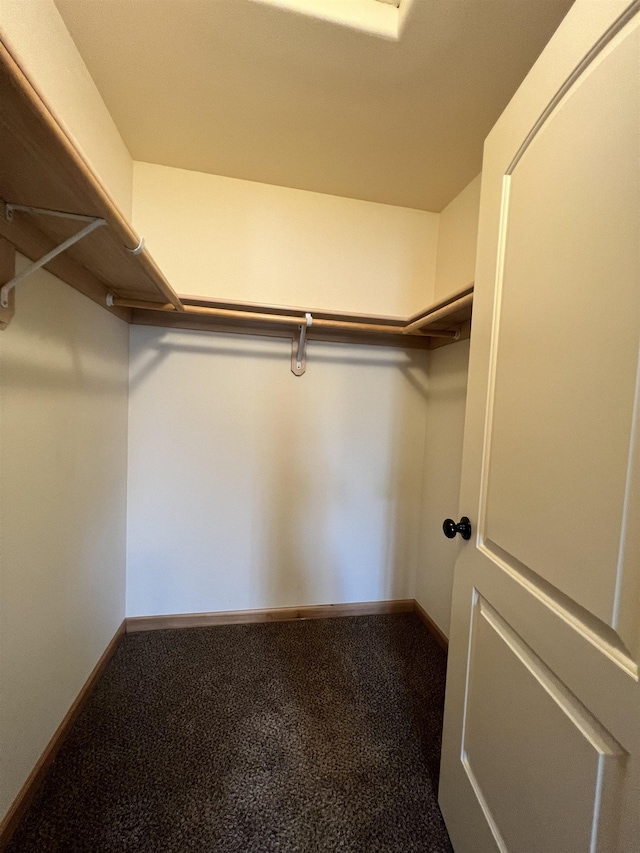 spacious closet featuring carpet flooring