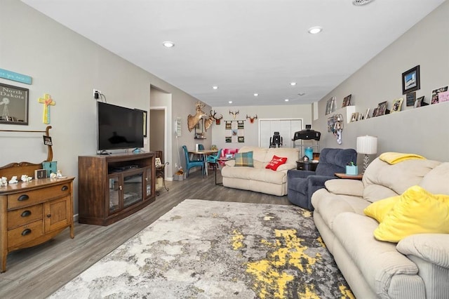 living room featuring wood-type flooring