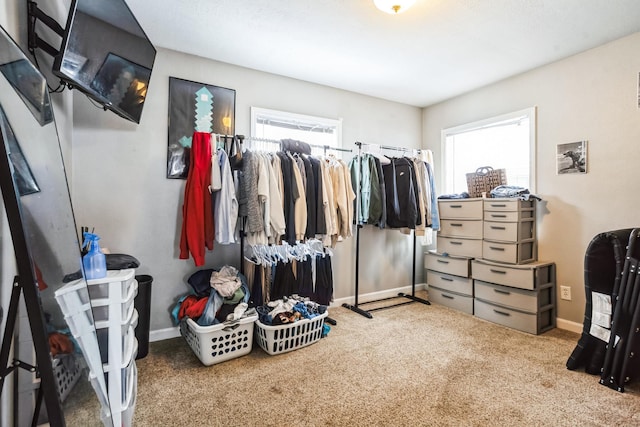 spacious closet featuring carpet floors