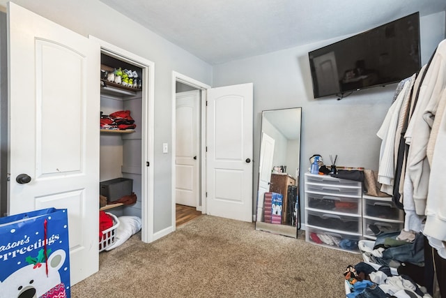 bedroom featuring carpet floors