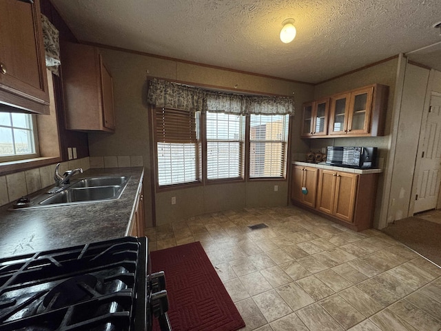 kitchen with a textured ceiling, stove, ornamental molding, and sink