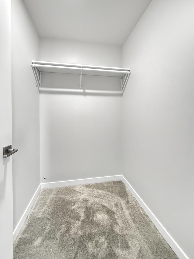 spacious closet with carpet floors