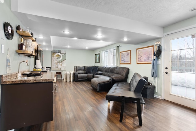 living room featuring a textured ceiling, a wealth of natural light, dark wood-type flooring, and sink