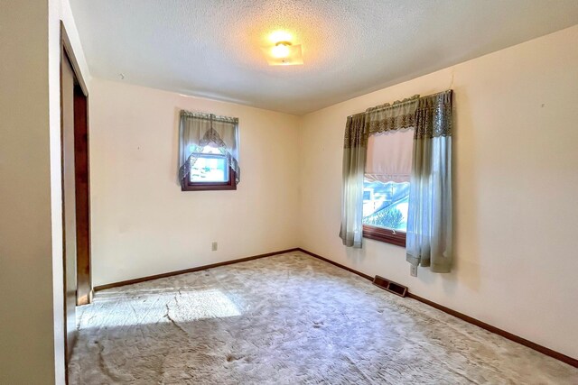 empty room featuring light colored carpet and a textured ceiling