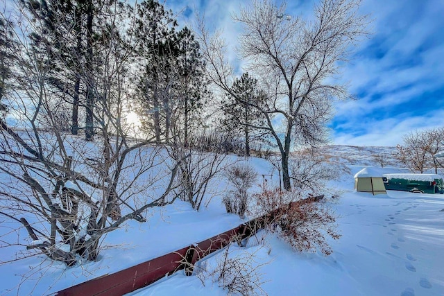 view of snowy yard