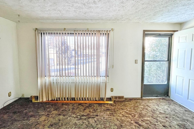 carpeted empty room with a textured ceiling and a wealth of natural light