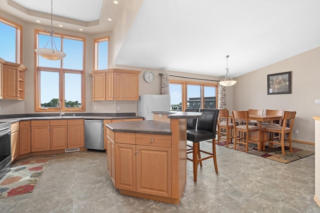 529 Rice Lake Rd, Rice Lake, ND 58735 - kitchen featuring pendant lighting, stainless steel dishwasher, a center island, and a healthy amount of sunlight