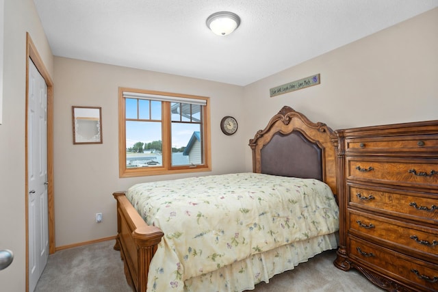 529 Rice Lake Rd, Rice Lake, ND 58735 - view of carpeted bedroom