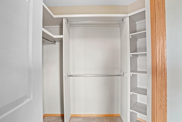 529 Rice Lake Rd, Rice Lake, ND 58735 - spacious closet with carpet