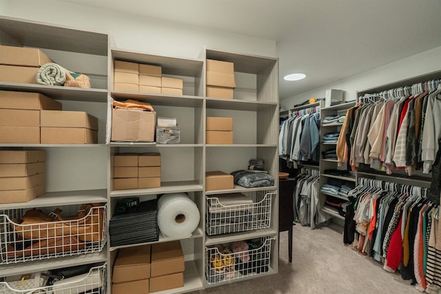 spacious closet featuring carpet flooring