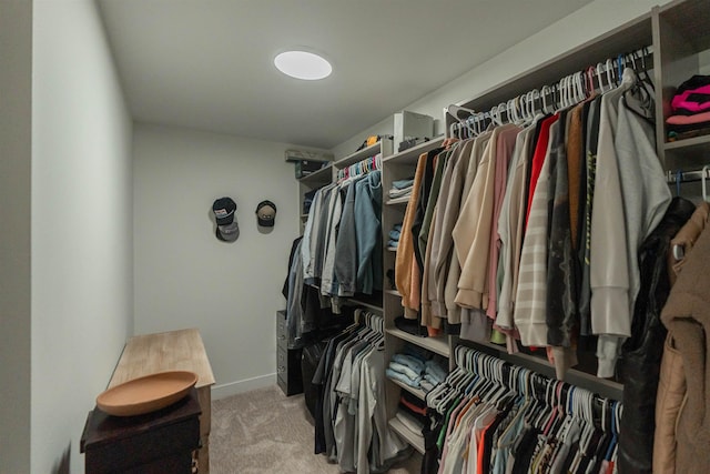 spacious closet with light carpet