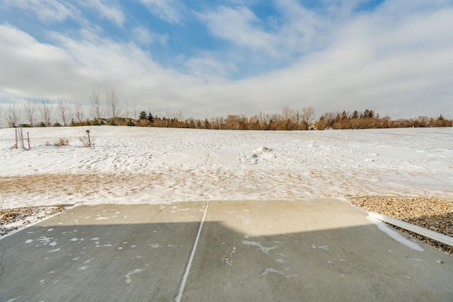 view of yard covered in snow