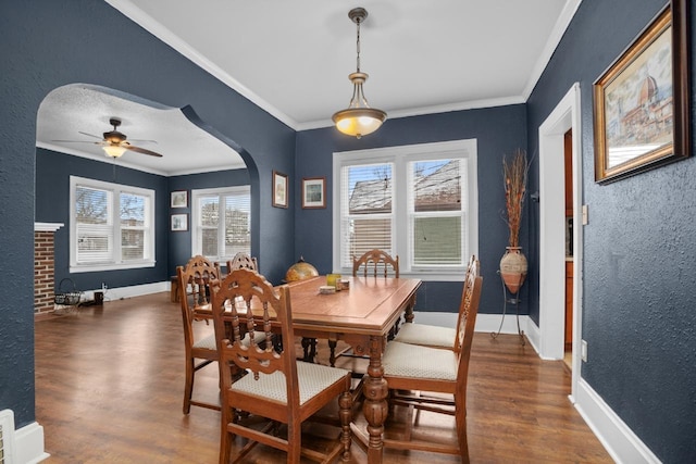 dining room with ceiling fan, ornamental molding, and dark hardwood / wood-style flooring