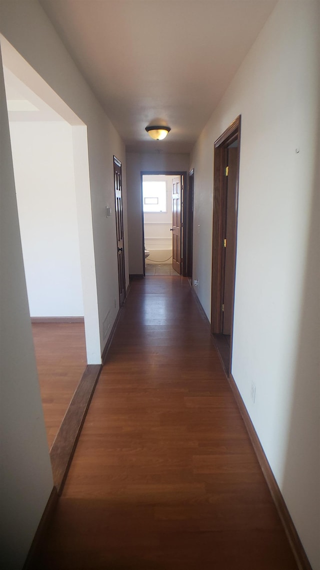 corridor with dark hardwood / wood-style flooring