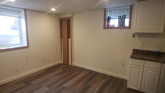 basement featuring dark wood-type flooring