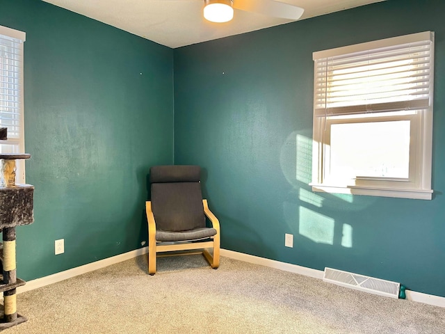 sitting room with carpet