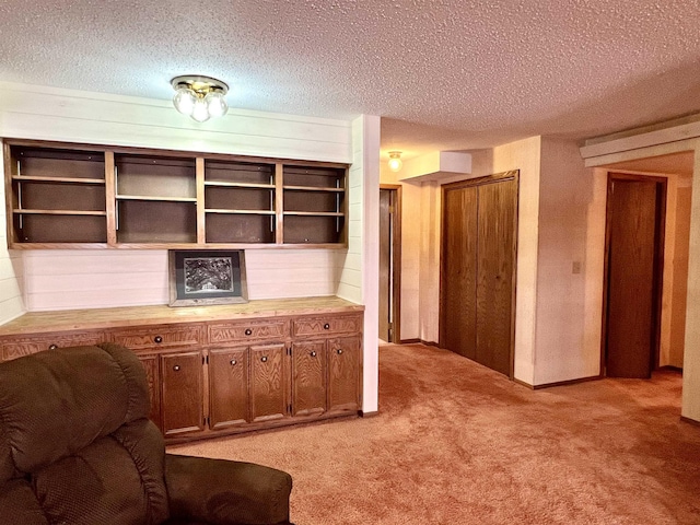 interior space featuring light colored carpet and a textured ceiling