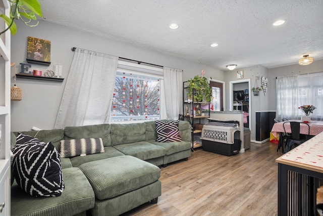 living room with a wealth of natural light, light hardwood / wood-style flooring, and a textured ceiling