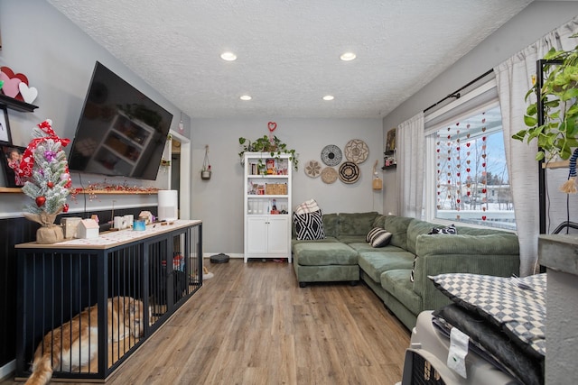 living room with wood-type flooring and a textured ceiling