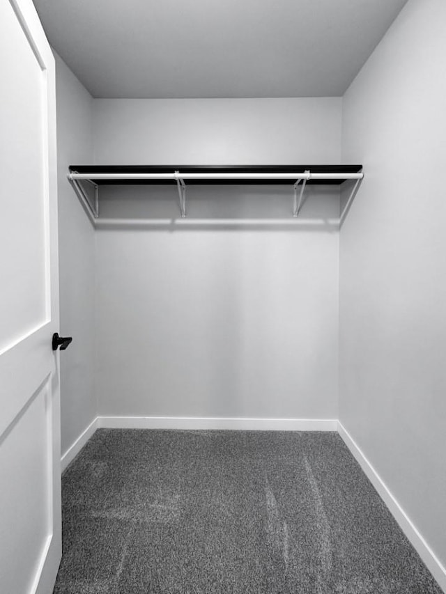 spacious closet with carpet flooring
