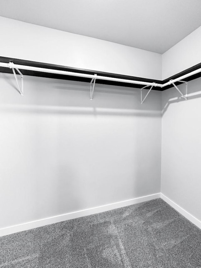 spacious closet with carpet flooring
