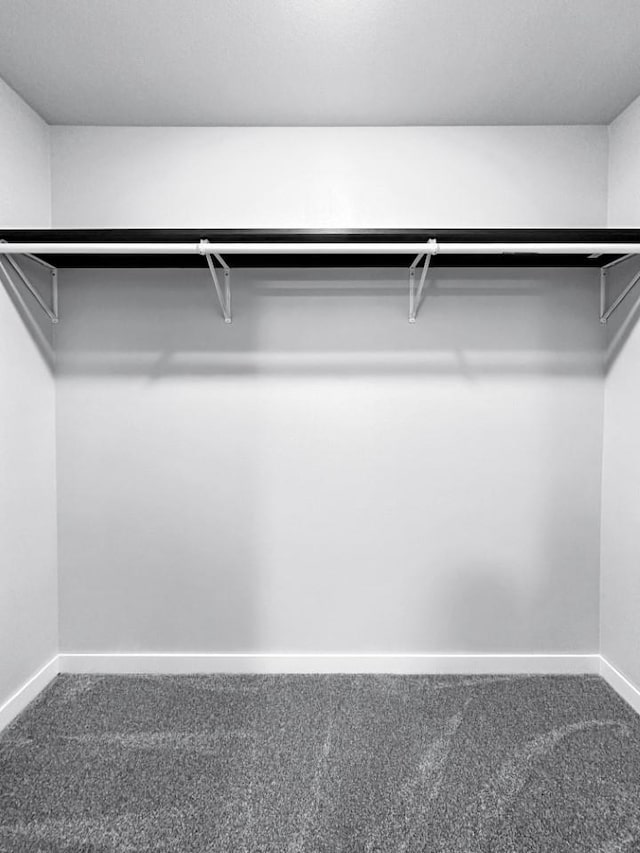 walk in closet featuring carpet floors