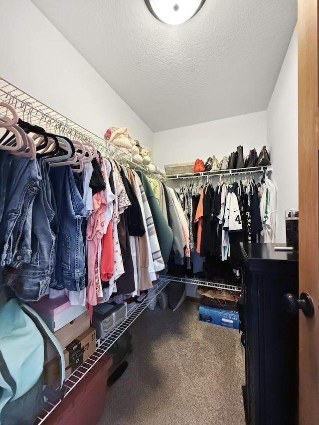 view of walk in closet