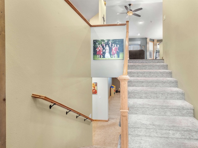 stairs with lofted ceiling, carpet flooring, and a ceiling fan