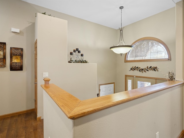 entryway with baseboards and wood finished floors