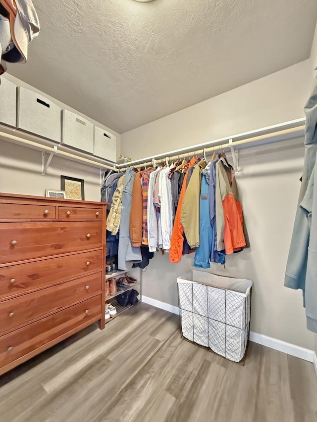 walk in closet featuring wood finished floors