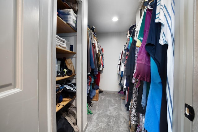 spacious closet featuring carpet