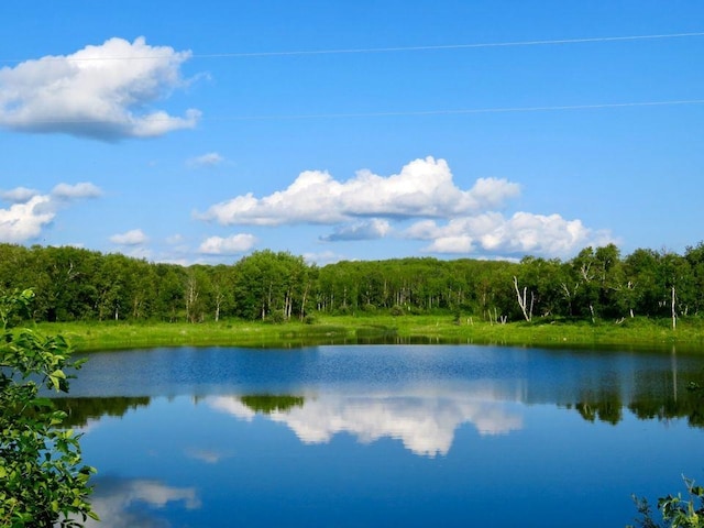 80 Twin Oaks Shr Unit 34, Bottineau, ND 58318 - water view with a view of trees