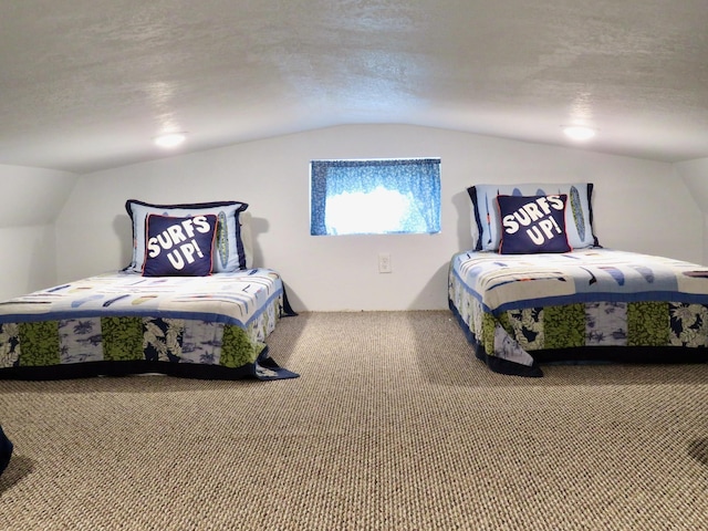 178 Twin Oaks Dr, Bottineau, ND 58318 - bedroom with lofted ceiling, a textured ceiling, and carpet floors