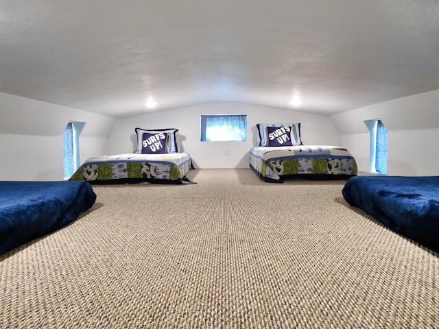 178 Twin Oaks Dr, Bottineau, ND 58318 - bedroom featuring vaulted ceiling and carpet floors