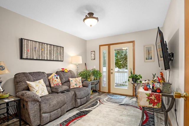 1419 17 1/2 Ave, Minot, ND 58701 - living area featuring wood finished floors