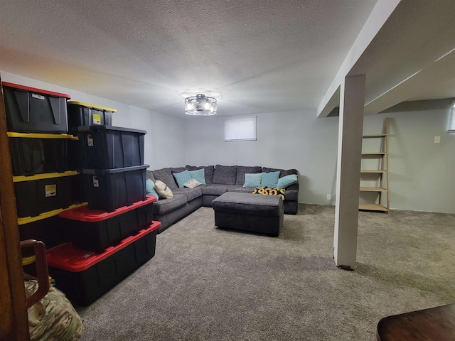 1425 9th St, Minot, ND 58701 - living room featuring carpet flooring and a textured ceiling