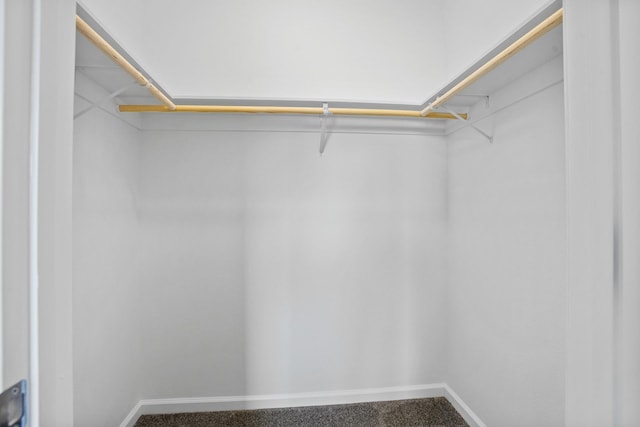 spacious closet with carpet flooring