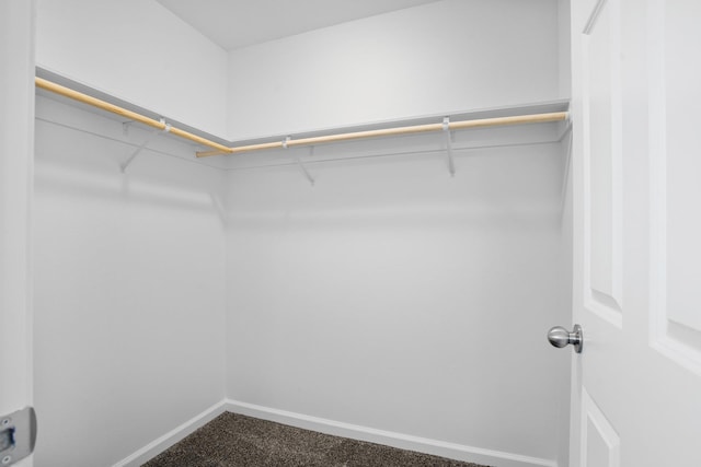 spacious closet with dark carpet