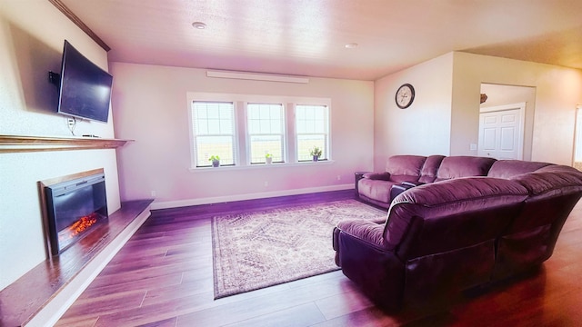 living area featuring baseboards, a glass covered fireplace, and wood finished floors