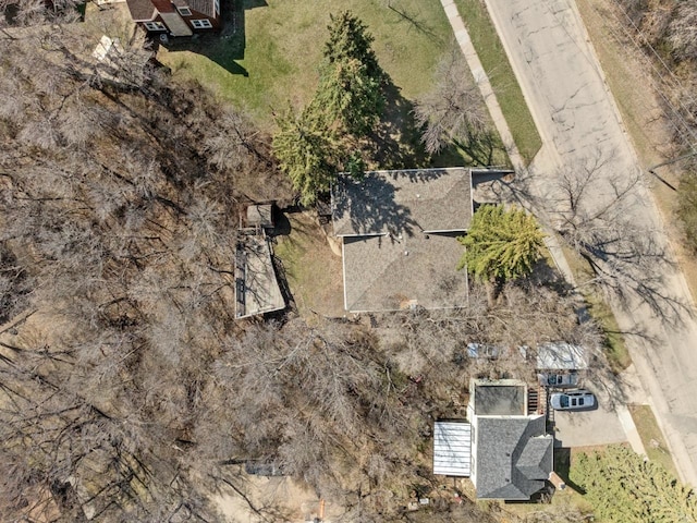 drone / aerial view