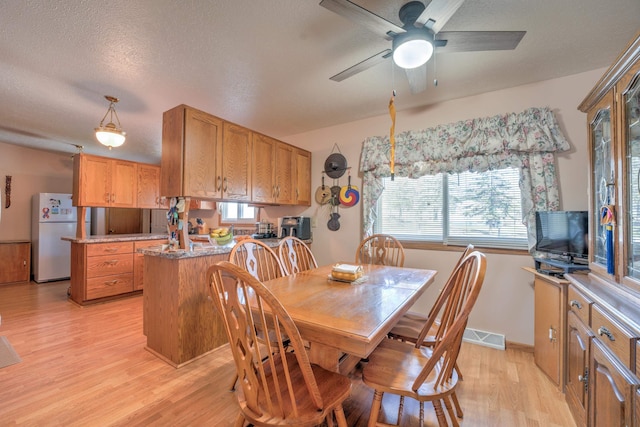 dining room featuring light wood-style floors, a textured ceiling, ceiling fan, and a wealth of natural light