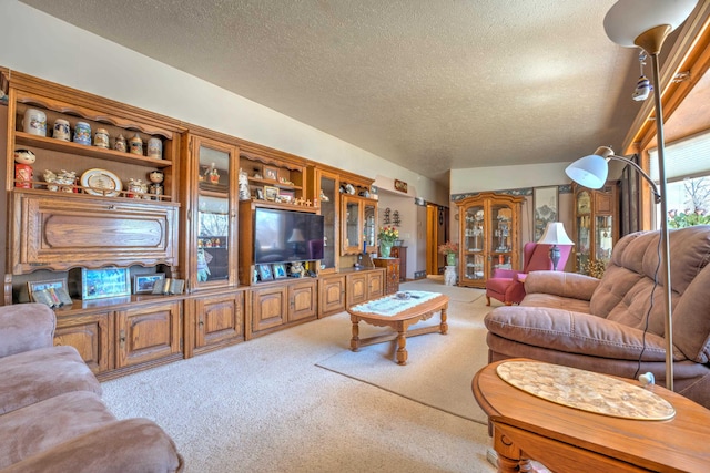 living area featuring carpet flooring and a textured ceiling
