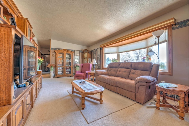 living area featuring a textured ceiling, plenty of natural light, and light carpet