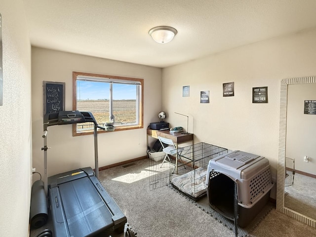 home office featuring baseboards and carpet flooring
