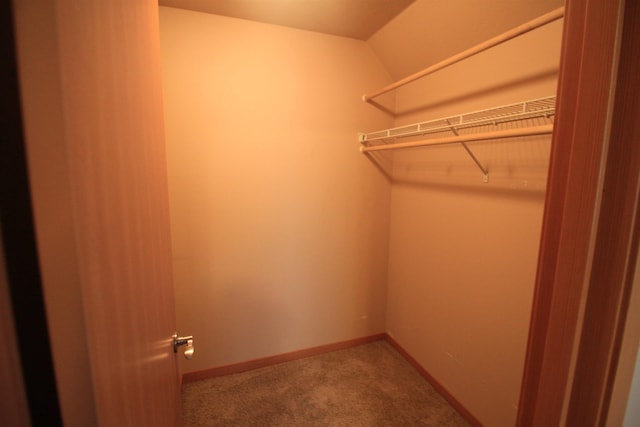 1624 20th Ave, Minot, ND 58703 - spacious closet with carpet